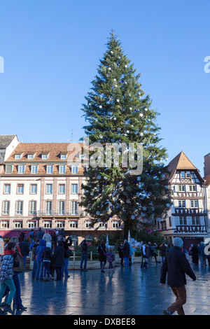 Gigantesco albero di Natale in Place Kleber, Strasburgo, Francia Foto Stock