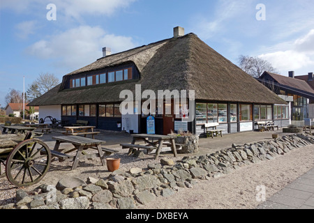 Museo per la Rold Area forestale all'ingresso Rebild Parco Nazionale dello Jutland in Danimarca Foto Stock