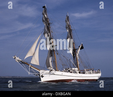 SOLENT, Inghilterra. - TALL SHIP SCATAFASCIO - La Tall Ship Astrid fu devastata mercoledì 24 luglio 2013. Foto:JONATHAN EASTLAND/AJAX Foto Stock