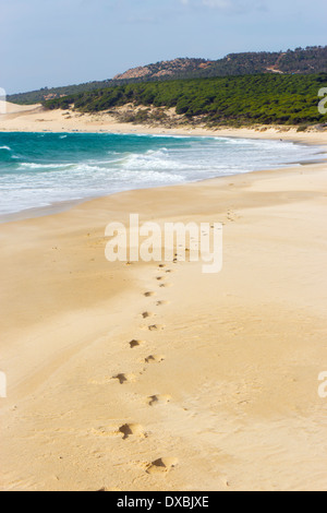 Bolonia Beach, Tarifa, Cadice provincia, Costa de la Luz, Andalusia, Spagna Foto Stock