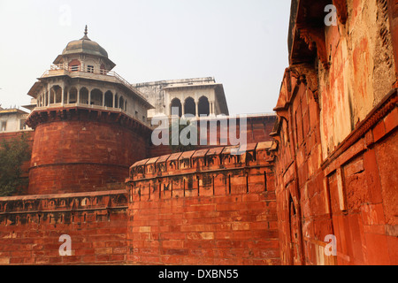 Dettaglio del 'Red Fort' pareti. Agra, Uttar Pradesh, India. Foto Stock