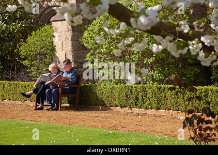 Coppie anziane che leggono i giornali sedettero sulla panchina da alberi di fiori fuori del priorato a Great Malvern, Worcestershire UK in aprile Foto Stock
