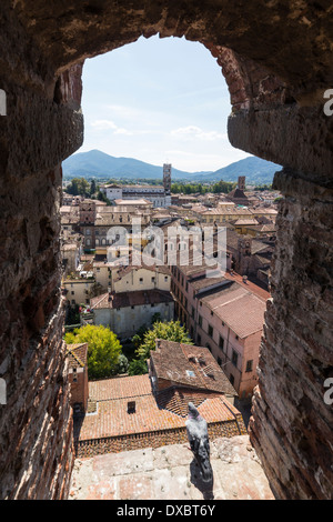 Vista dalla Torre Guinigi, famosa torre con il suo giardino pensile Foto Stock