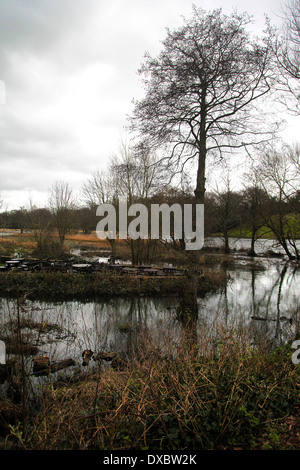 River Meon inondazioni in a Titchfield - Febbraio 2014 - dietro a Titchfield Mill, Hampshire, Inghilterra Foto Stock