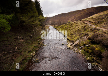 Ashop Clough. Trova ai piedi del versante settentrionale della Kinder Scout nel Peak District. Foto Stock