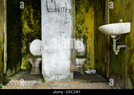 Un bagno pubblico abbandonato con due bagni in ceramica bianca, entrambi con coperchi aperti e visibilmente sporchi, macchiati di sporcizia e muffa verde. Le pareti sono dipinte di giallo ma pesantemente ricoperte di muschio verde Foto Stock