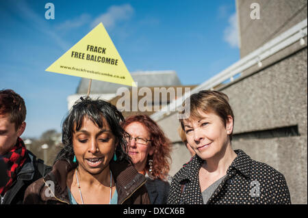 Brighton, Sussex, Regno Unito. Il 24 marzo 2014. Caroline Lucas, verde parte MP per Brighton Pavillion, arrivando a Brighton Magistrates Court per il primo giorno del periodo di prova seguendo il suo arresto lo scorso agosto a anti-fracking proteste a Balcombe. Caroline Lucas stava prendendo parte a una pacifica azione diretta protesta contro fracking. Ella è stata caricata con altri quattro, per ostruire la strada statale e non riesce a seguire le istruzioni di polizia per spostarsi in una determinata area di protesta. Caroline Lucas MP membri sul suo blog che tutti potranno invocare non colpevole. Credito: Francesca Moore/Alamy Live News Foto Stock