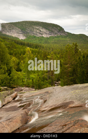 Cascate tra le colline e Andersnatten Borofjell in Eggedal, Buskerud fylke, Norvegia. Foto Stock