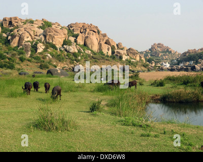 Paesaggio intorno Hampi, una città che si trova in Karnataka, India Sud Occidentale al tempo di sera Foto Stock