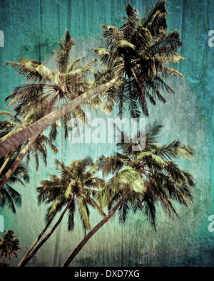 Coconut Palm tree isolate su cielo tropicale. Immagine in stile vintage. India Foto Stock