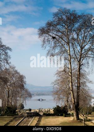 India, Kashmir Srinagar, Nishat Bagh, giardino di gioia sulle banche di dal lago Foto Stock