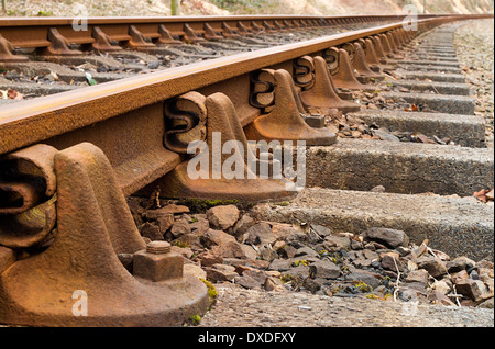 Heritage rail road binari del treno extreme close up e la dissolvenza in distanza. Foto Stock