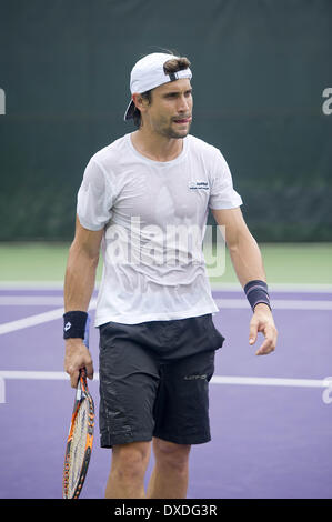 Key Biscayne, Florida, Stati Uniti d'America. 24 Mar, 2014. Key Biscayne - marzo 24: David FERRER (ESP) pratiche nel caldo clima di Miami il giorno prima del suo quarto round in abbinamento al 2014 Sony Open Tennis tournamen Credito: Andrea, Patrono/ZUMAPRESS.com/Alamy Live News Foto Stock