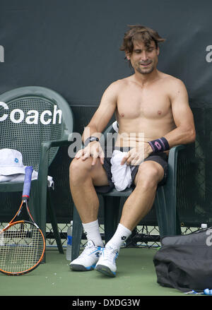 Key Biscayne, Florida, Stati Uniti d'America. 24 Mar, 2014. Key Biscayne - marzo 24: David FERRER (ESP) pratiche nel caldo clima di Miami il giorno prima del suo quarto round in abbinamento al 2014 Sony Open Tennis tournamen Credito: Andrea, Patrono/ZUMAPRESS.com/Alamy Live News Foto Stock