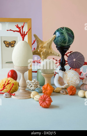 Marina classic still life con uovo in un stile wunderkammer Foto Stock