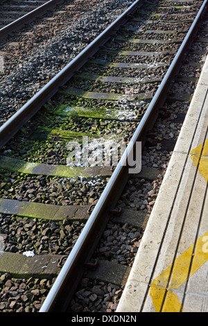 Escrementi e carta igienica bianca depositati sulla linea ferroviaria da Treni passeggeri in transito non dotati di cisterne Essex Inghilterra REGNO UNITO Foto Stock