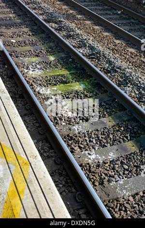 Visibile dalla piattaforma dei treni pendolari escrementi umani e carta igienica bianca depositata sui binari ferroviari passando per treni passeggeri Inghilterra Regno Unito Foto Stock