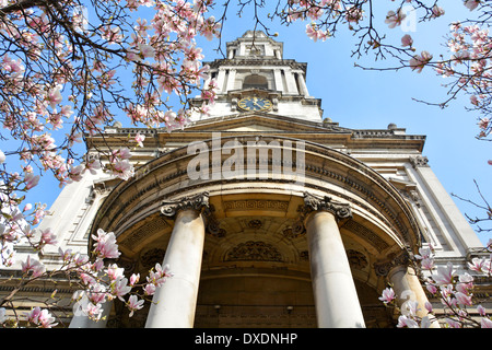 The Strand London campanile di una chiesa e di fronte ovest di St Mary Le Strand albero di Magnolia blossom chiesa ufficiale delle donne del Royal Naval Service England Regno Unito Foto Stock