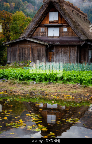 Tradizionale tetto in paglia house di Shirakawa-go, Giappone Foto Stock