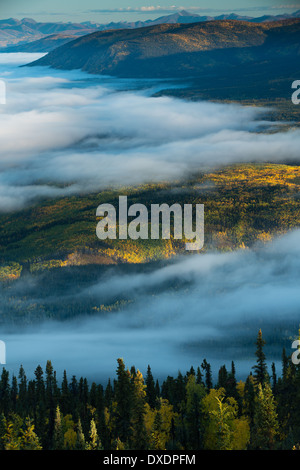 Nebbia nella valle del fiume di Yukon all'alba, a valle di Dawson City dal Dome Hill, Yukon Territori, Canada Foto Stock