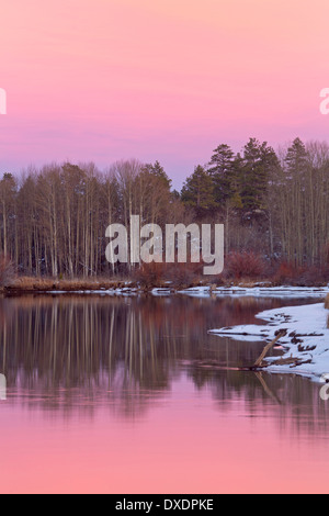 Salici e pioppi al tramonto lungo il fiume Deschutes in inverno vicino Bend, Oregon. Stati Uniti d'America Foto Stock