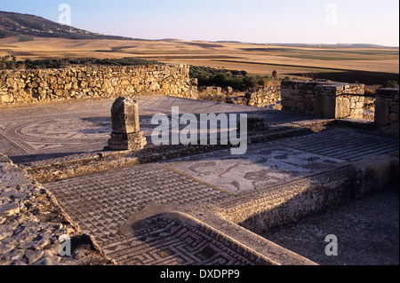 Mosaiac pavimenti e pareti in uno di Volubilis case più sottili Foto Stock