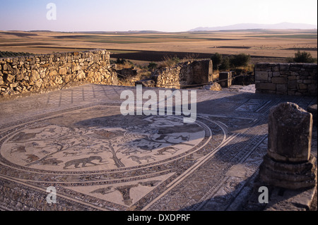 Mosaiac pavimenti e pareti in uno di Volubilis case più sottili Foto Stock