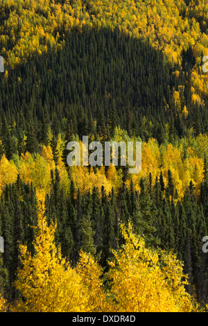 I colori autunnali sfrangiare la Dempster Highway, Yukon Territori, Canada Foto Stock