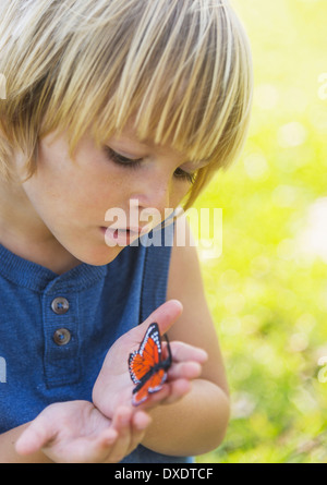 Ragazzo (4-5) guardando butterfly Foto Stock