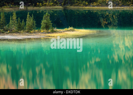 Il Lago di Smeraldo, nr Carcross, Yukon Territori, Canada Foto Stock