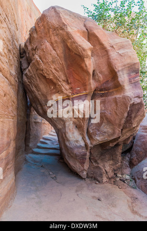 Rock e starway in Nabatean Petra Giordania medio oriente Foto Stock