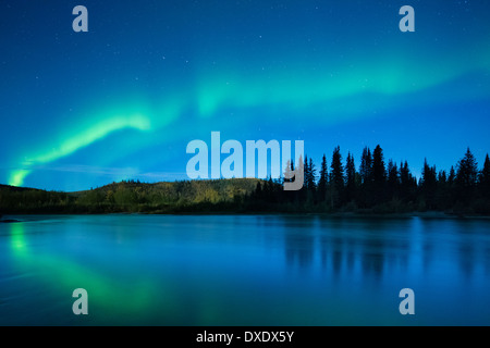 L'Aurora Boreale (Northern Lights) oltre il Fiume Klondike, Yukon Territori, Canada Foto Stock