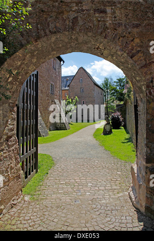 Castello, cervi fossato, Steinau an der Strasse, distretto Main-Kinzig-Kreis, Hesse, Germania Foto Stock