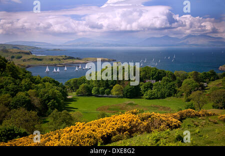 Vista a molla verso Dunollie Castle & distante Mull, Argyll. Foto Stock