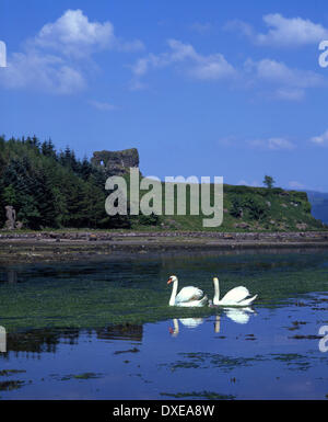 Aros rovine del castello, Isle of Mull, Argyll Foto Stock