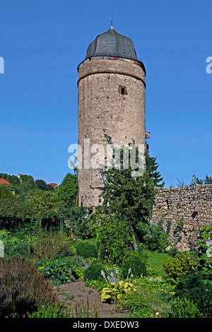 Biermann's Tower, è stata costruita a metà del XV secolo, Warburg, Hoxter distretto, Renania settentrionale-Vestfalia, Germania / Höxter Foto Stock