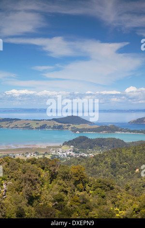 Vista del Coromandel Town e Harbour, Penisola di Coromandel, Isola del nord, Nuova Zelanda Foto Stock