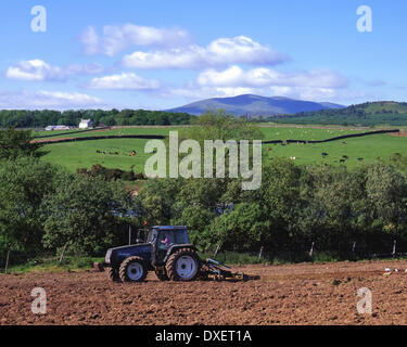 Il Galloway colline come viste attraverso il River Cree nr Newton Stewart, Dumfries & Galloway. Foto Stock