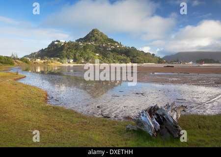 Vista del Monte Paku, Tairua, Penisola di Coromandel, Isola del nord, Nuova Zelanda Foto Stock