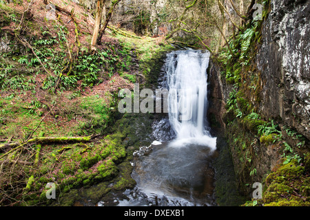 Cascata in Stainforth Beck sotto forza Catrigg vicino a Settle Yorkshire Dales Inghilterra Foto Stock