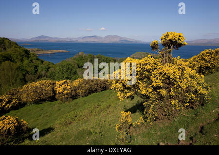 Primavera vista dalla collina corazzata Dunollie verso il castello e l'isola di Mull Foto Stock