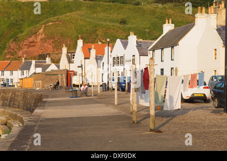 Il villaggio di Pennan nella luce della sera, Aberdeenshire, Scozia. Foto Stock