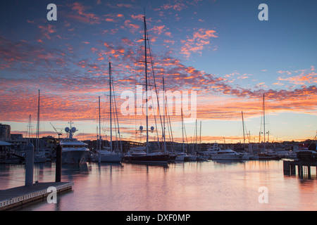 Barche nel porto di Viaduct al tramonto, Auckland, Isola del nord, Nuova Zelanda Foto Stock