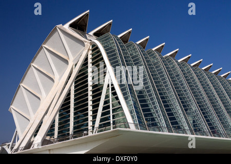 Architettura futuristica del Ciutat de les Arts i de les Ciencies (Città delle Arti e delle Scienze) la città di Valencia, Spagna. Foto Stock