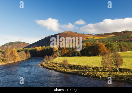 Il fiume Dee tra Ballater e Braemar, Deeside, Aberdeenshire, Scozia. Foto Stock