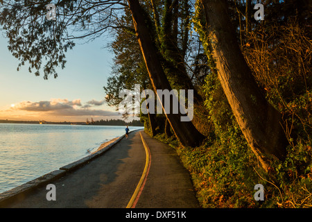 Un uomo che corre su un tratto tranquillo della Vancouver Seawall in Stanley Park su una mattina di primavera. Foto Stock