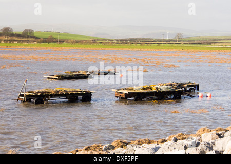 Gamberetti fishermens rimorchi inondato da acqua di inondazione durante un eccezionalmente alta marea vicino Cark in Cartmell sulla baia di Morecambe, Foto Stock