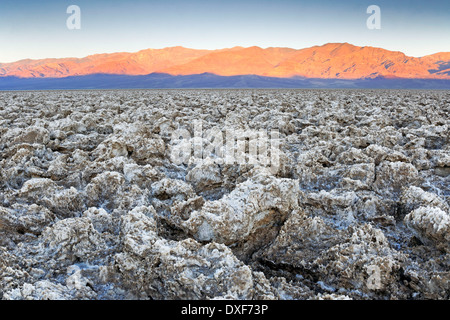 Devil's Campo da Golf, il Parco Nazionale della Valle della Morte, California, Stati Uniti d'America / la luce del mattino Foto Stock