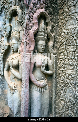 Sculture e scultura in le rovine del tempio di Ta Prohm in Angkor Wat in Camboda. Foto Stock