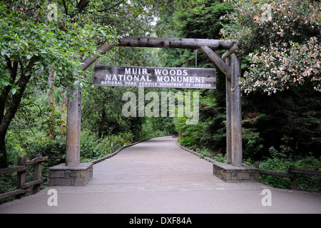 Ingresso, Muir Woods National Park, California, Stati Uniti d'America Foto Stock